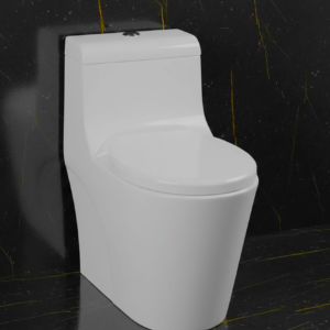 Pool 9 | One Piece Commode