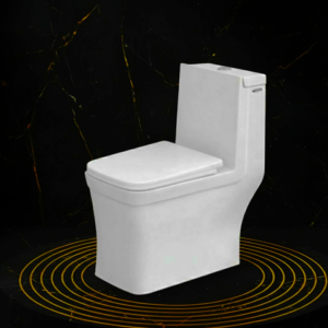 Pool 3 | One Piece Commode